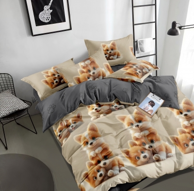 Постельное белье Дуэт из поплина «1579»