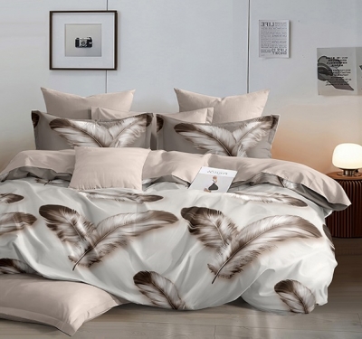 Постельное белье Евро из поплина «8108»