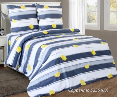 Постельное белье Евро из бязи эконом «5256.03 Сорренто»