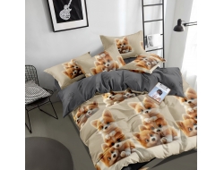 Постельное белье Дуэт из поплина «1579»