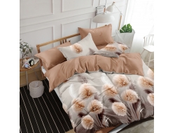 Постельное белье Дуэт из поплина «1684»