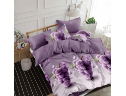 Постельное белье Дуэт из поплина «1705»