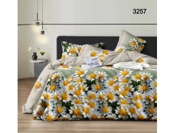 Постельное белье Евро из бязи «3257»