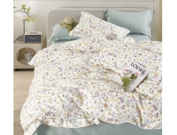 Постельное белье Дуэт из поплина «8079»