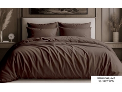 Постельное белье Дуэт из сатина «Шоколадный»
